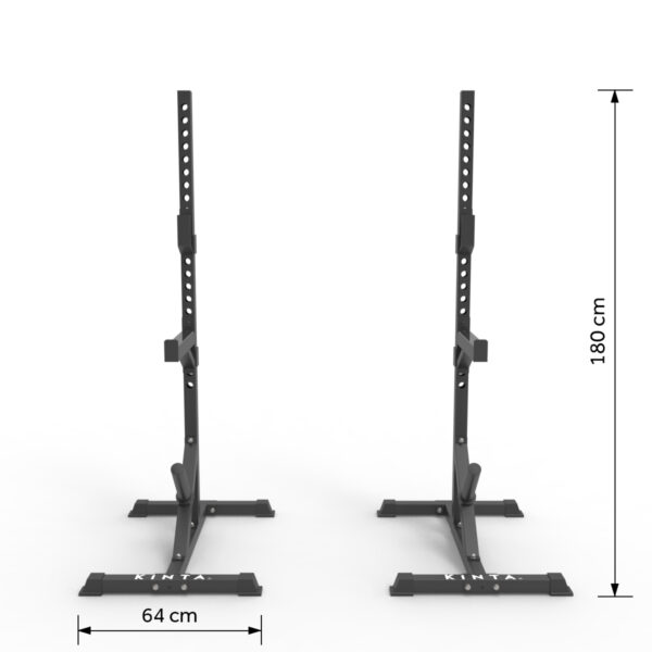 Bench Press Squat Stand