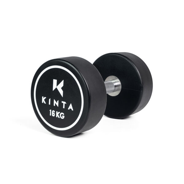 Kinta PU Round Dumbbell 16kg