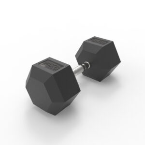 Hex Dumbbells 20kg