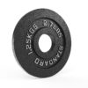 Cast Iron Weight Plate 1.25kg