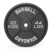Cast Iron Weight Plate 20kg