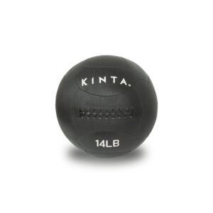 Wall Ball 14lb