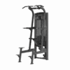 Kinta SAS Series Assisted Chin and Dip Machine