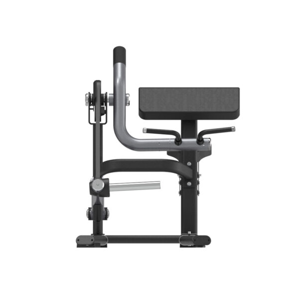 Kinta HQ Bicep Curl Machine